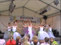 Altstadtfest 2011