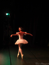 Ballett Gala